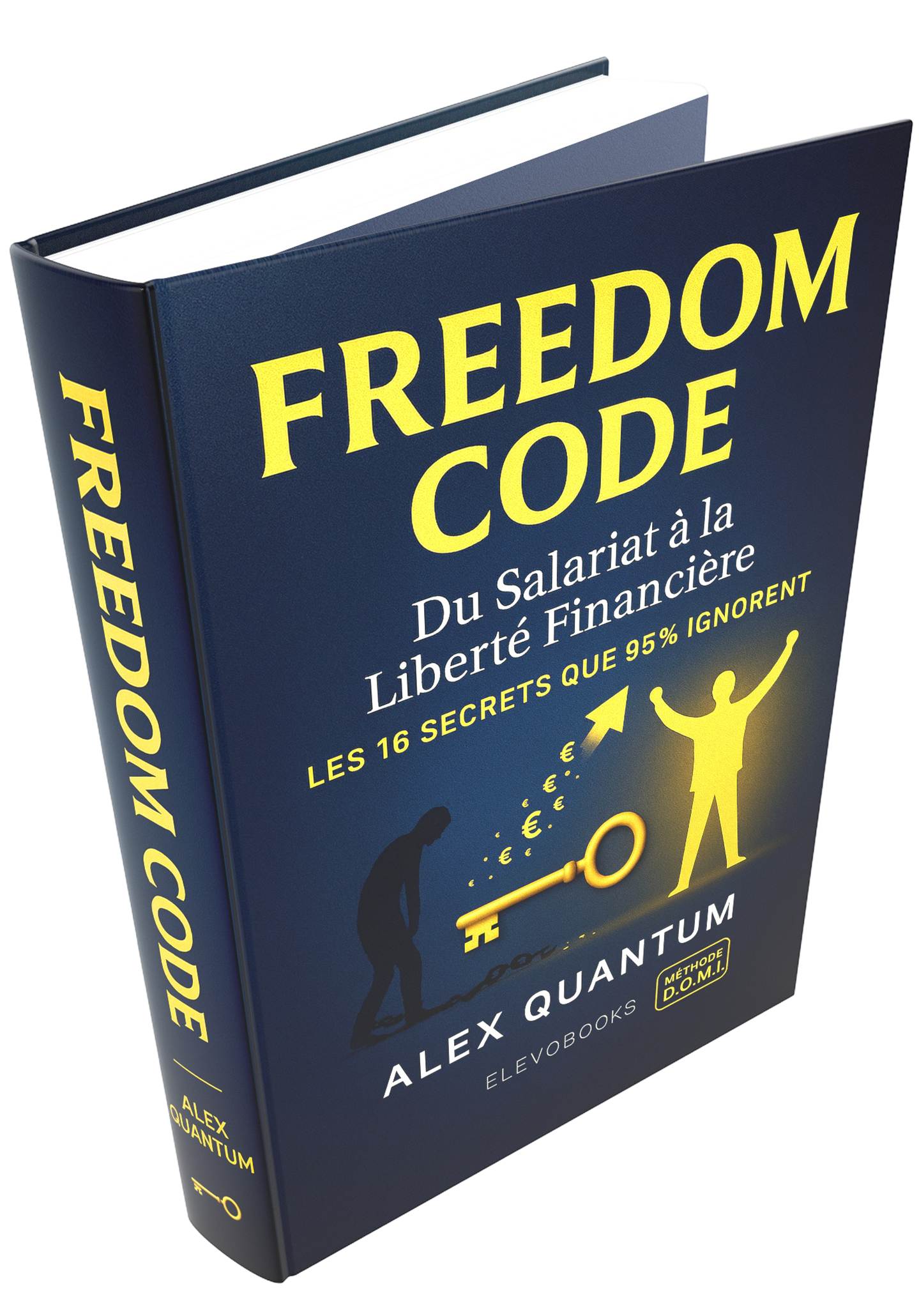 Freedom Code - Identification du problème